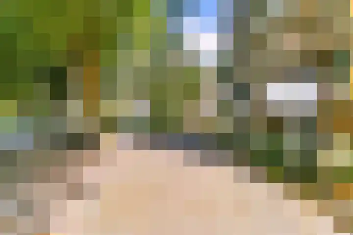 Euterpedreef 68 Utrecht thumbnail 24