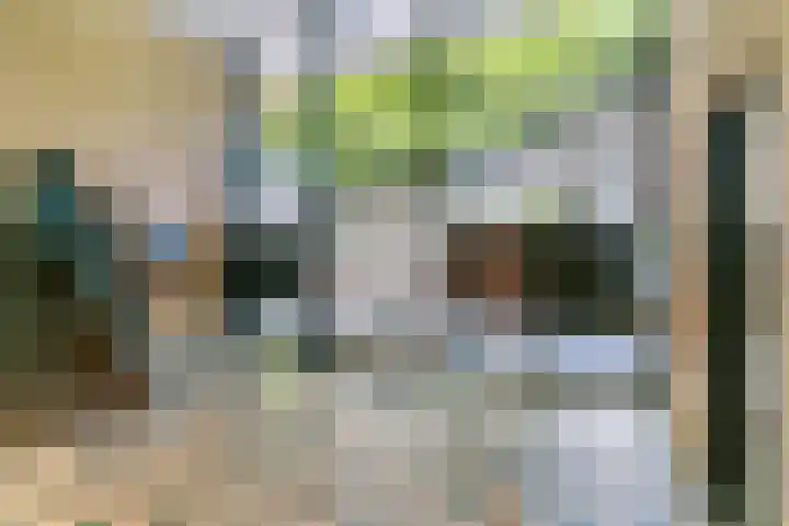 Euterpedreef 68 Utrecht thumbnail 26