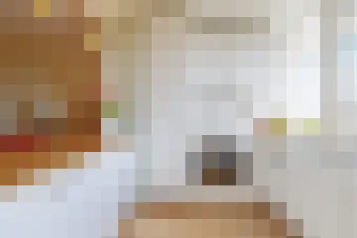 Euterpedreef 68 Utrecht thumbnail 9