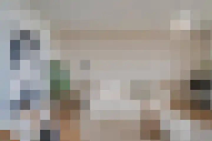 Euterpedreef 73 Utrecht thumbnail 15