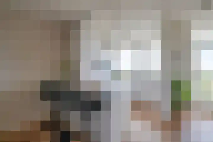 Euterpedreef 73 Utrecht thumbnail 18