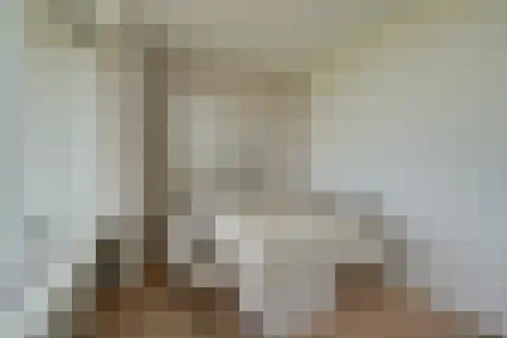 Euterpedreef 73 Utrecht thumbnail 26