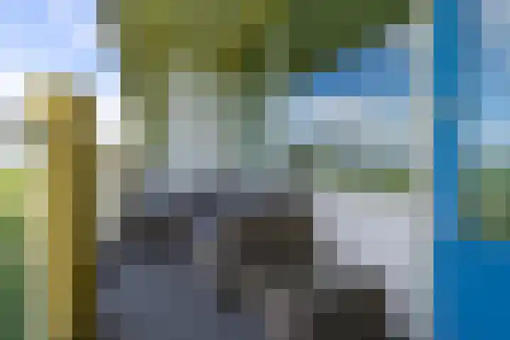 Euterpedreef 73 Utrecht thumbnail 28