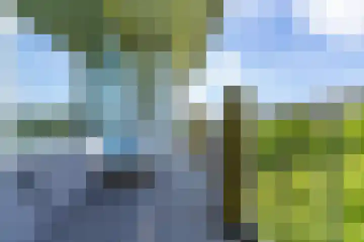 Euterpedreef 73 Utrecht thumbnail 29