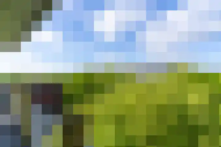 Euterpedreef 73 Utrecht thumbnail 31