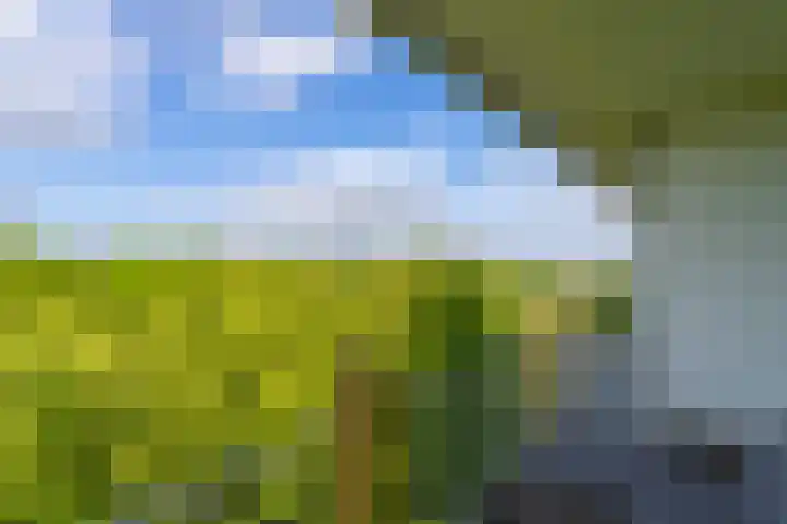 Euterpedreef 73 Utrecht thumbnail 32