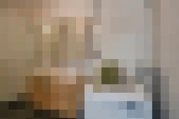 Euterpedreef 73 Utrecht thumbnail 36