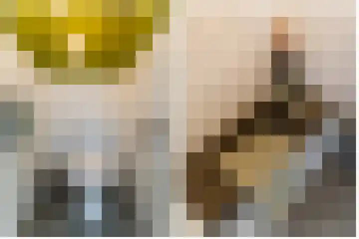 Euterpedreef 73 Utrecht thumbnail 37