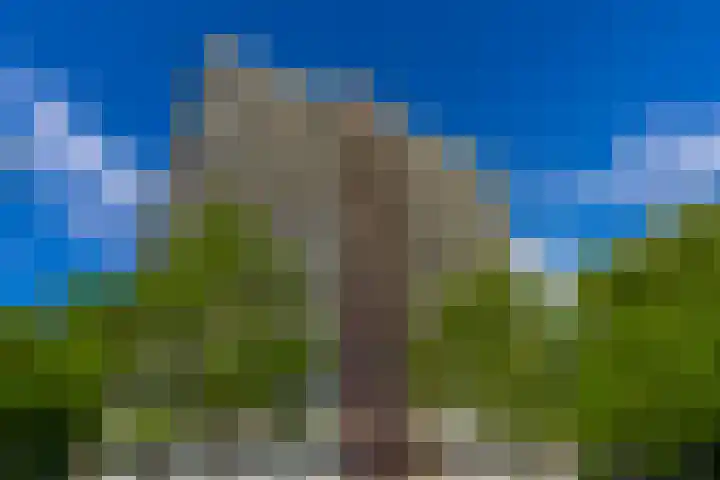 Euterpedreef 73 Utrecht thumbnail 38