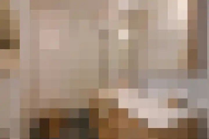 Euterpedreef 73 Utrecht thumbnail 4