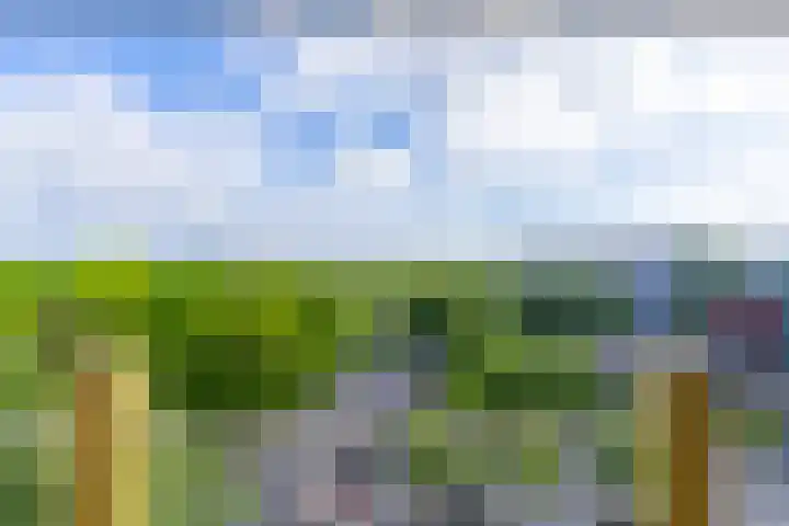Euterpedreef 73 Utrecht thumbnail 9