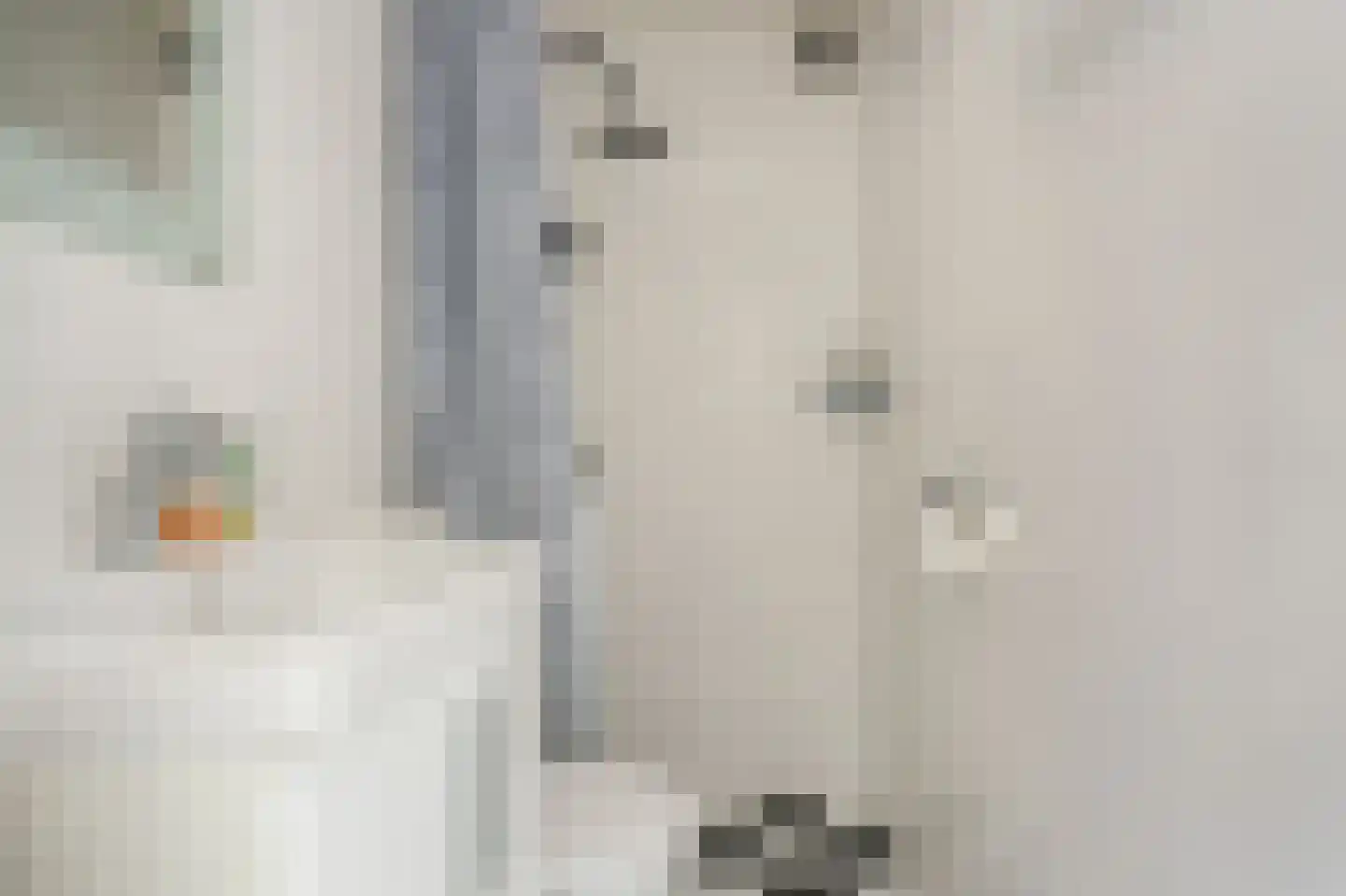 Euterpedreef 75 Utrecht thumbnail 20