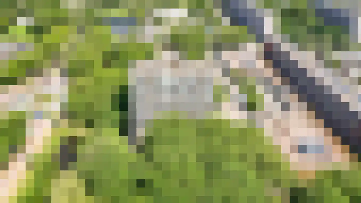Euterpedreef 75 Utrecht thumbnail 31