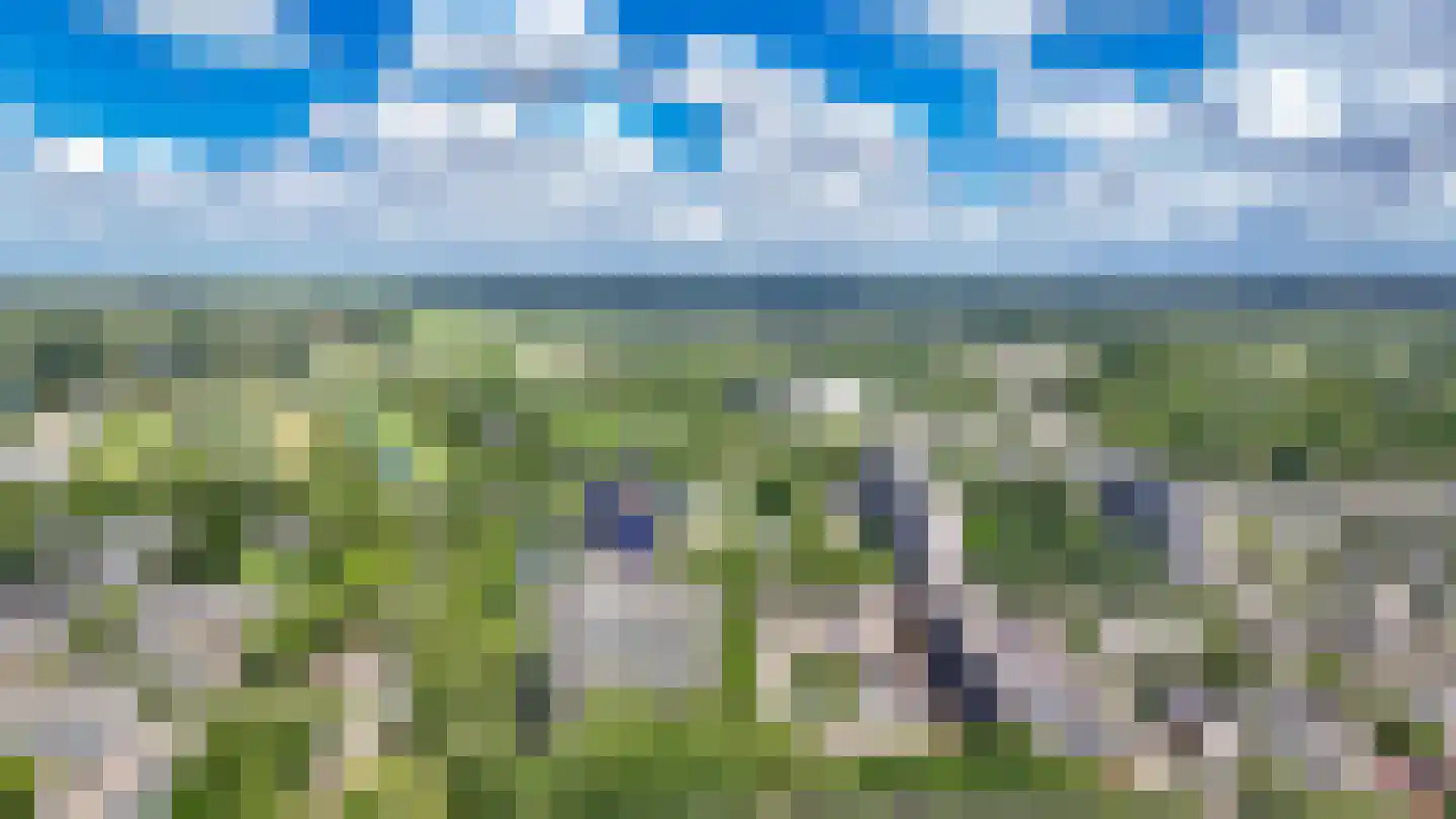 Euterpedreef 75 Utrecht thumbnail 34