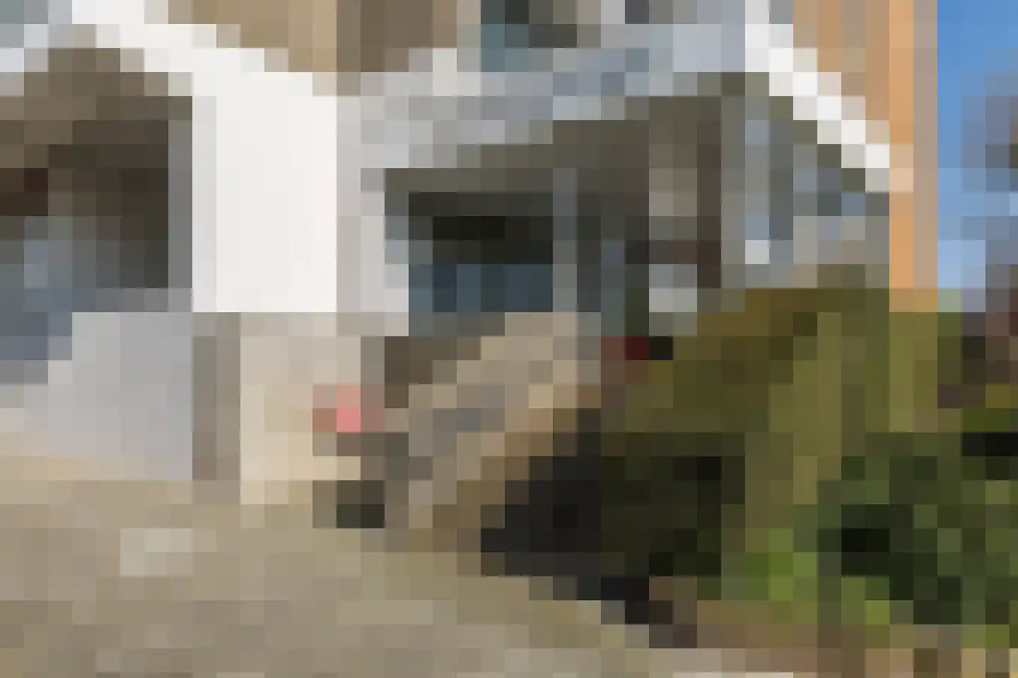 Euterpelaan 128 Heerlen thumbnail 32