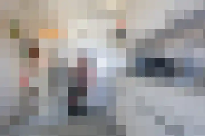 Euterpelaan 22 Heerlen thumbnail 12