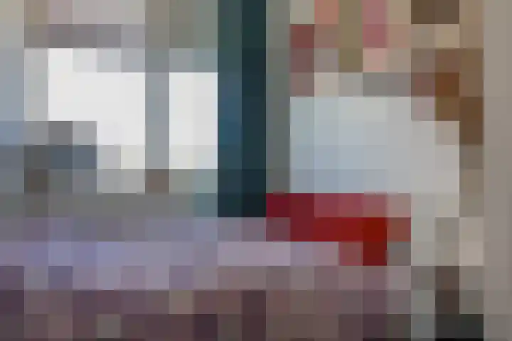 Euterpelaan 22 Heerlen thumbnail 15