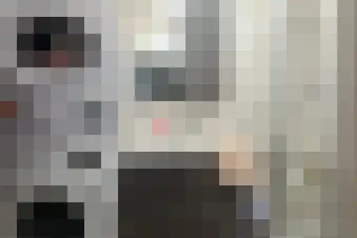 Euterpelaan 22 Heerlen thumbnail 16