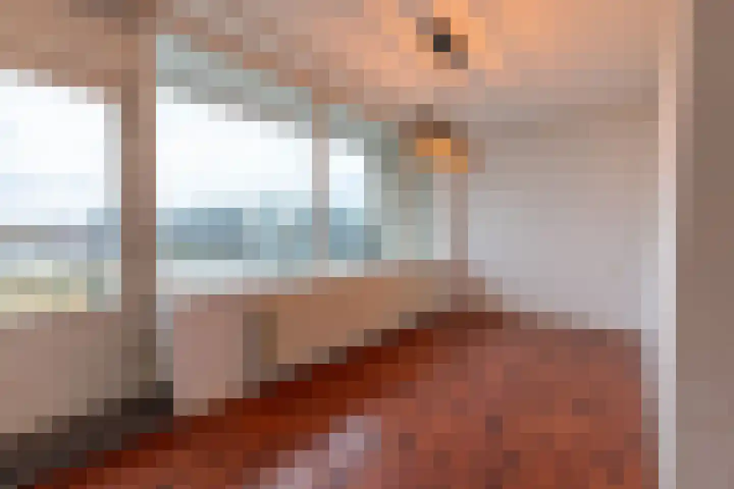 Euterpelaan 30 Heerlen thumbnail 7