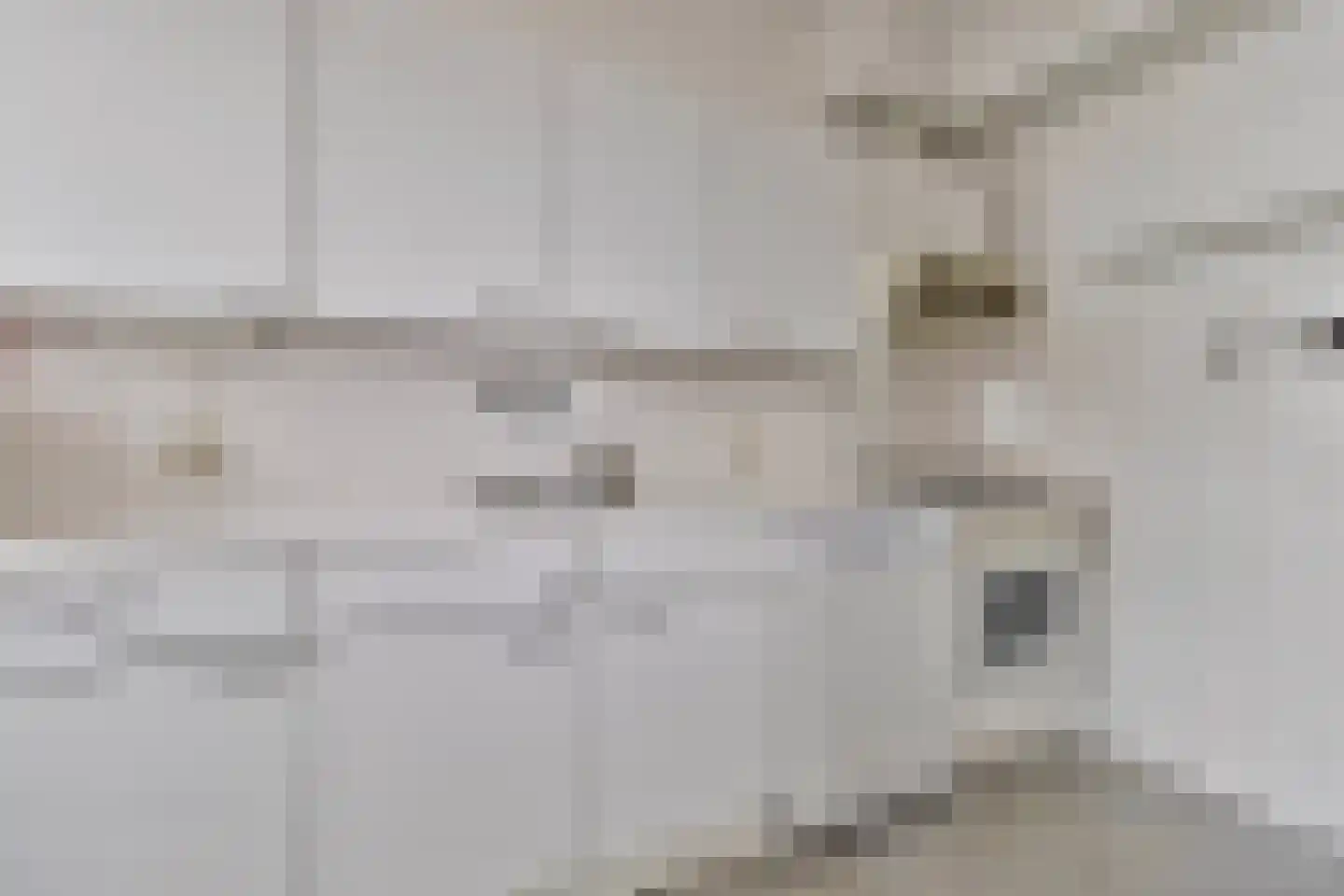 Euterpelaan 44 Heerlen thumbnail 10
