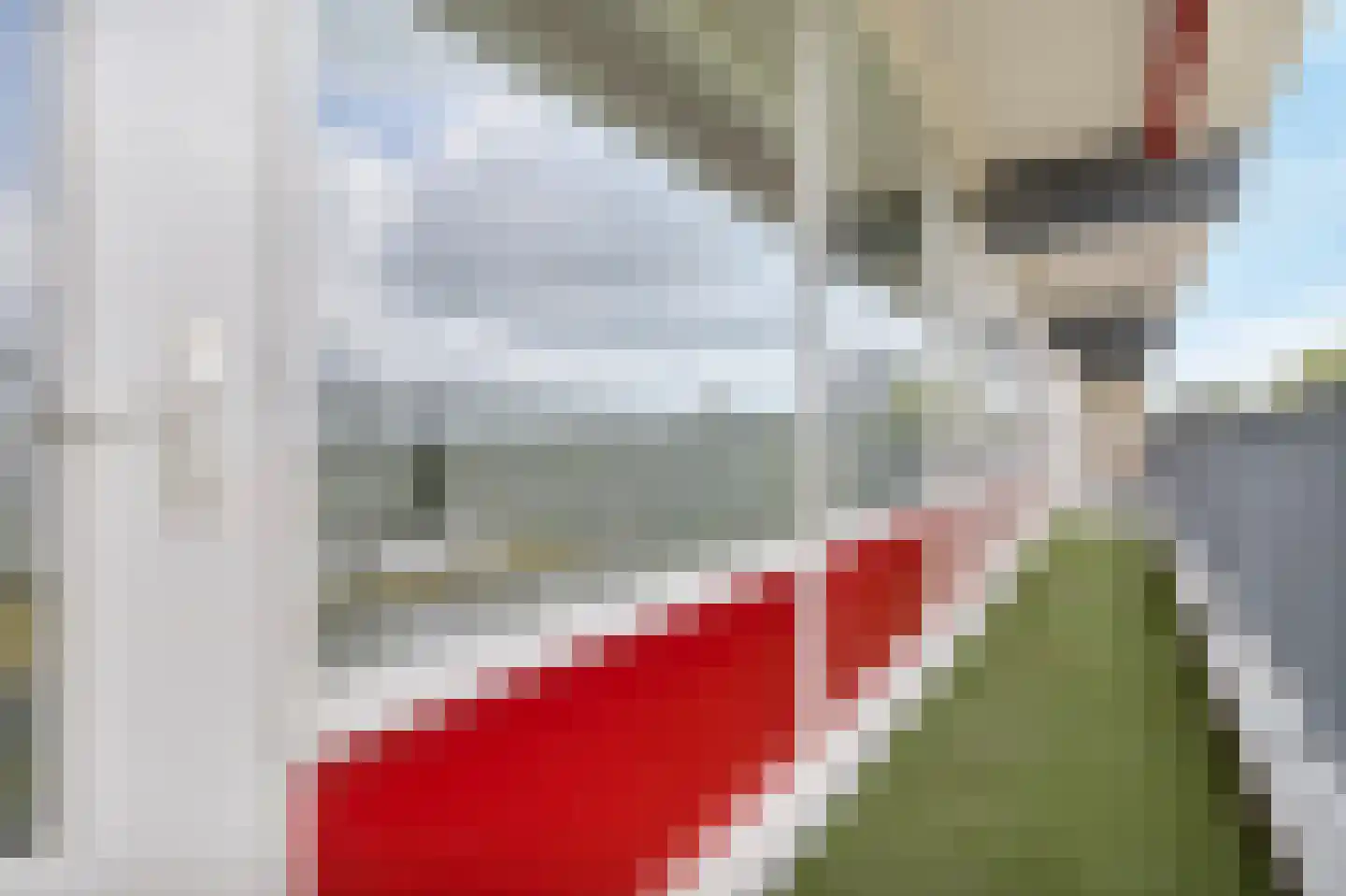 Euterpelaan 44 Heerlen thumbnail 20
