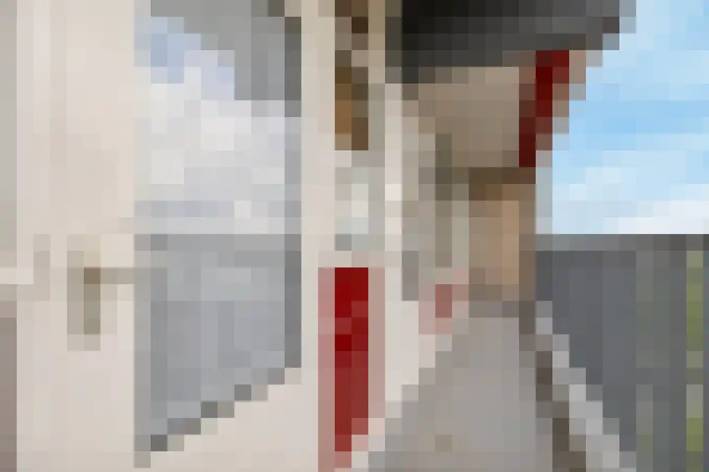 Euterpelaan 44 Heerlen thumbnail 22