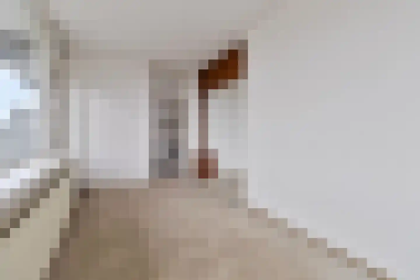 Euterpelaan 44 Heerlen thumbnail 7