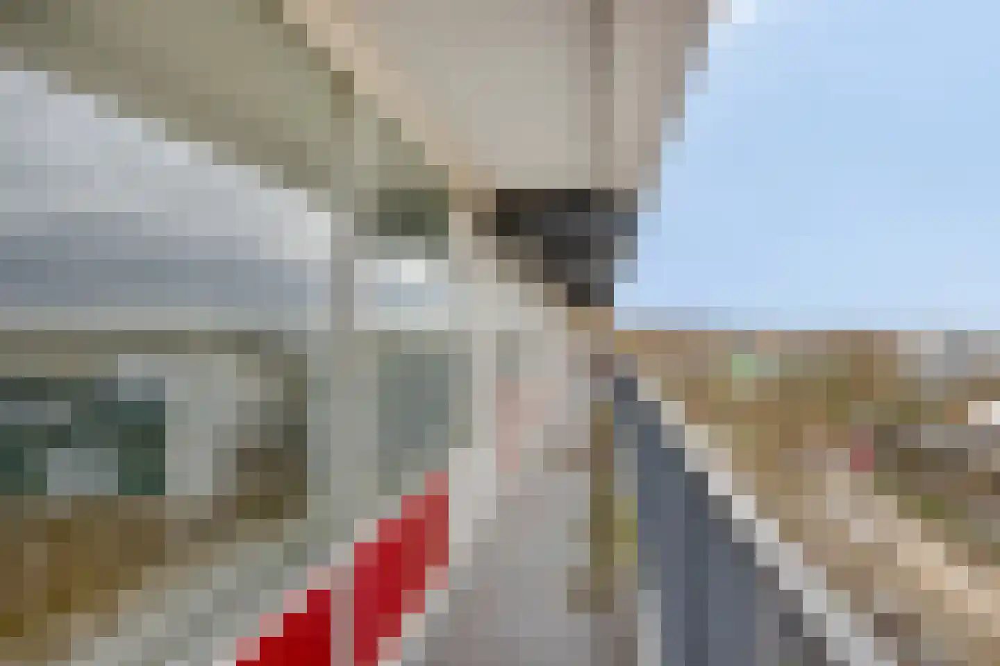 Euterpelaan 46 Heerlen thumbnail 24