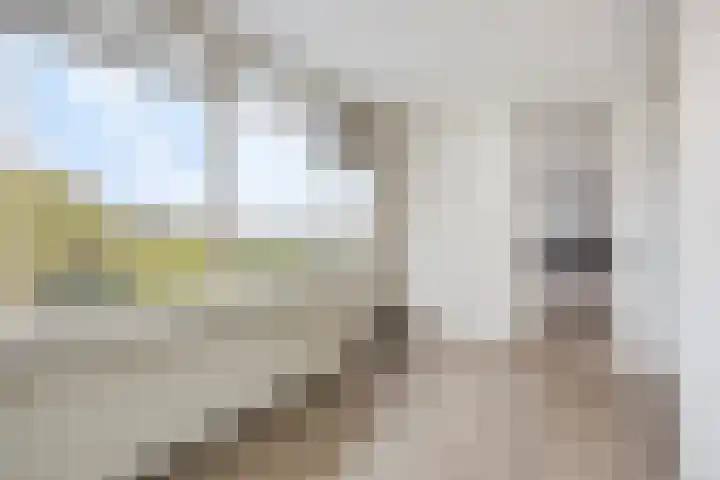 Euterpelaan 48 Heerlen thumbnail 15