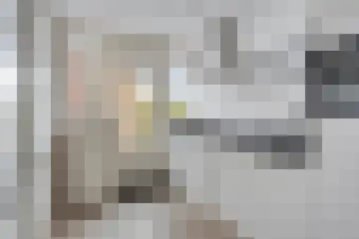 Euterpelaan 48 Heerlen thumbnail 16