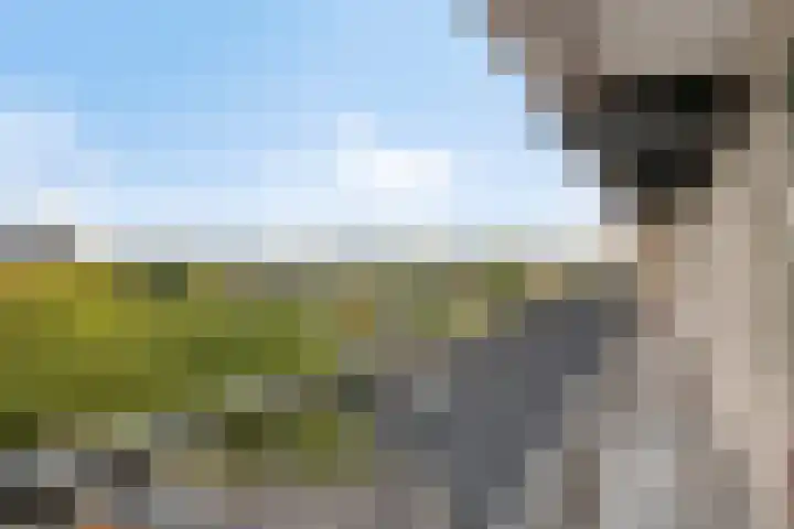 Euterpelaan 48 Heerlen thumbnail 22