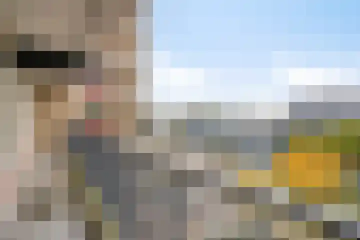 Euterpelaan 48 Heerlen thumbnail 23