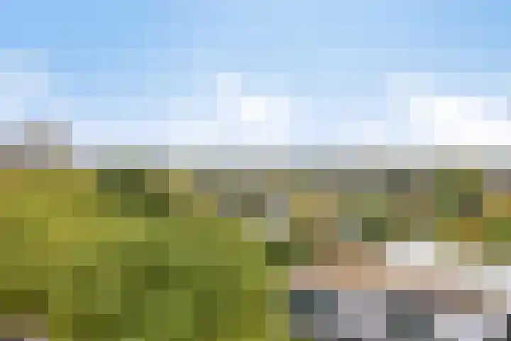 Euterpelaan 48 Heerlen thumbnail 26