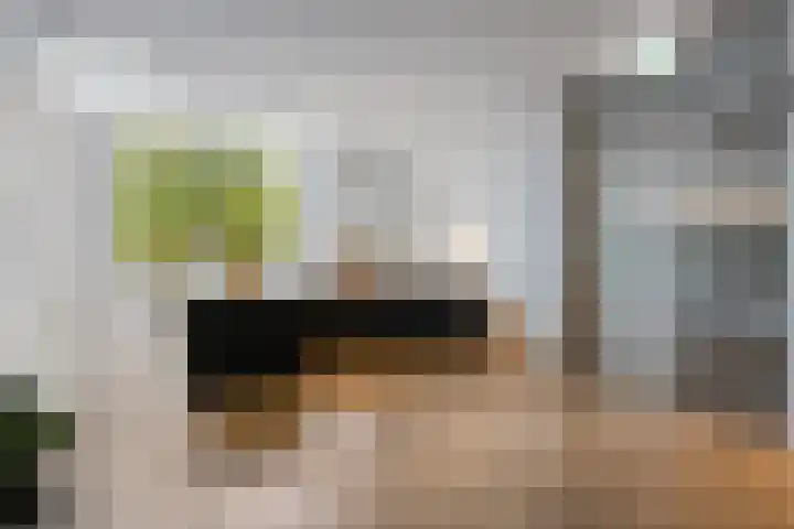Euterpelaan 48 Heerlen thumbnail 6