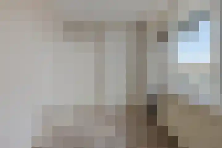 Euterpelaan 50 Heerlen thumbnail 16