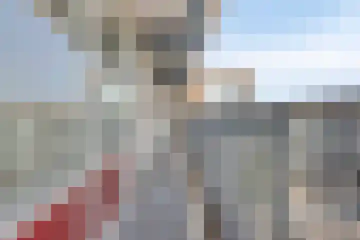 Euterpelaan 50 Heerlen thumbnail 18