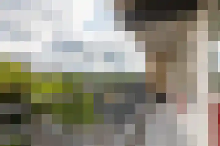Euterpelaan 58 Heerlen thumbnail 14