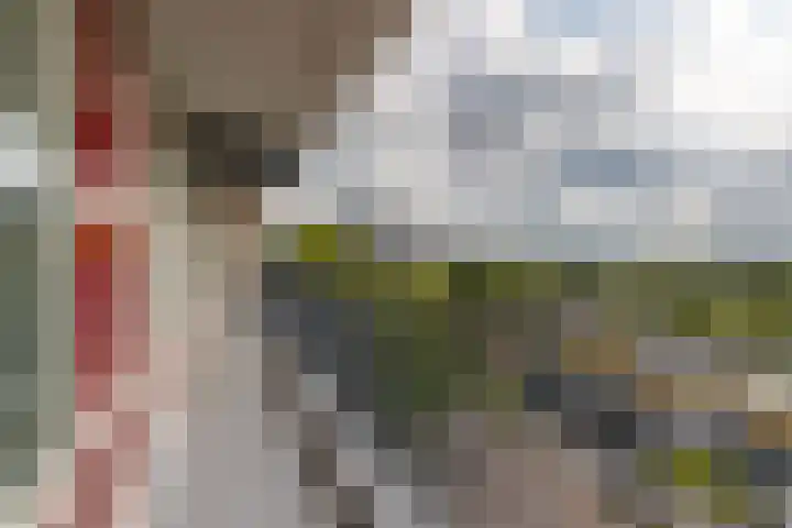 Euterpelaan 58 Heerlen thumbnail 21