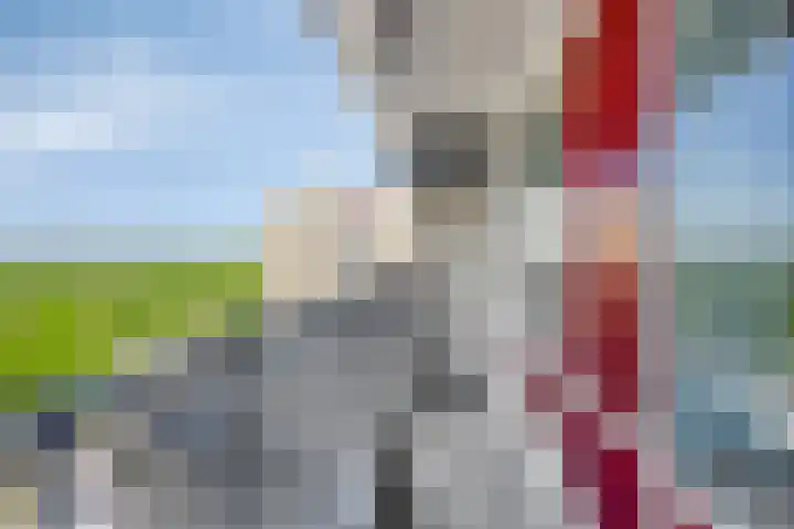 Euterpelaan 76 Heerlen thumbnail 12