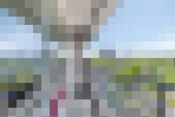 Euterpelaan 76 Heerlen thumbnail 13