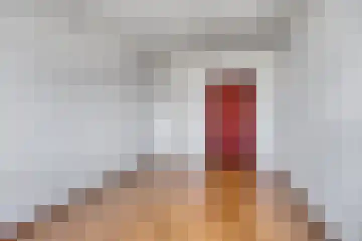 Euterpelaan 76 Heerlen thumbnail 21
