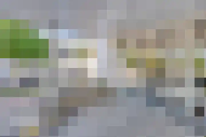 Euterpelaan 76 Heerlen thumbnail 25