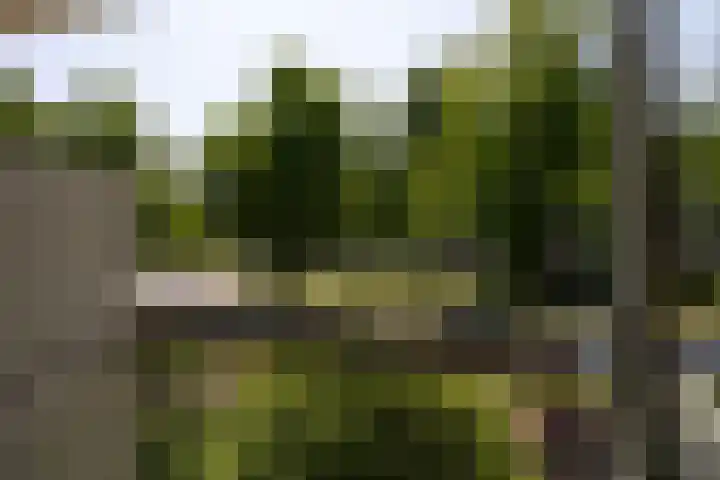 Euterpeplein 17 C Amersfoort thumbnail 16