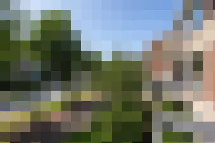 Euterpeplein 17 C Amersfoort thumbnail 18