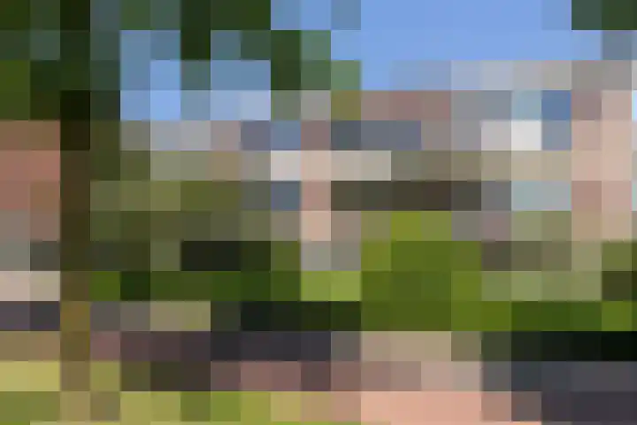 Euterpeplein 17 C Amersfoort thumbnail 19