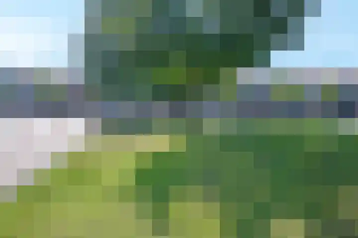 Euterpeplein 17 E Amersfoort thumbnail 24
