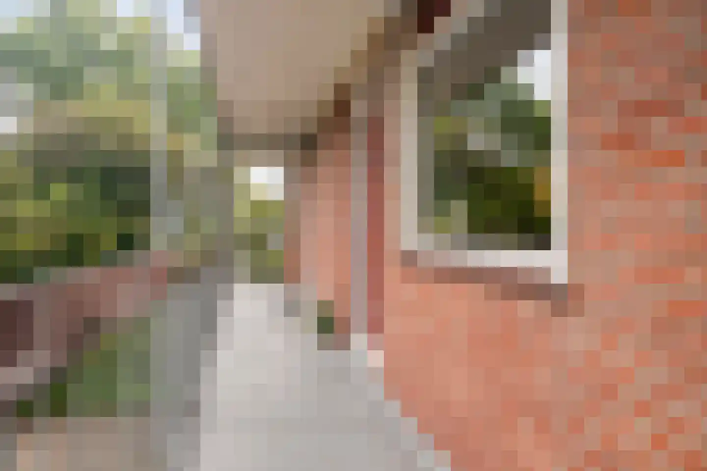 Euterpeplein 17 G Amersfoort thumbnail 27