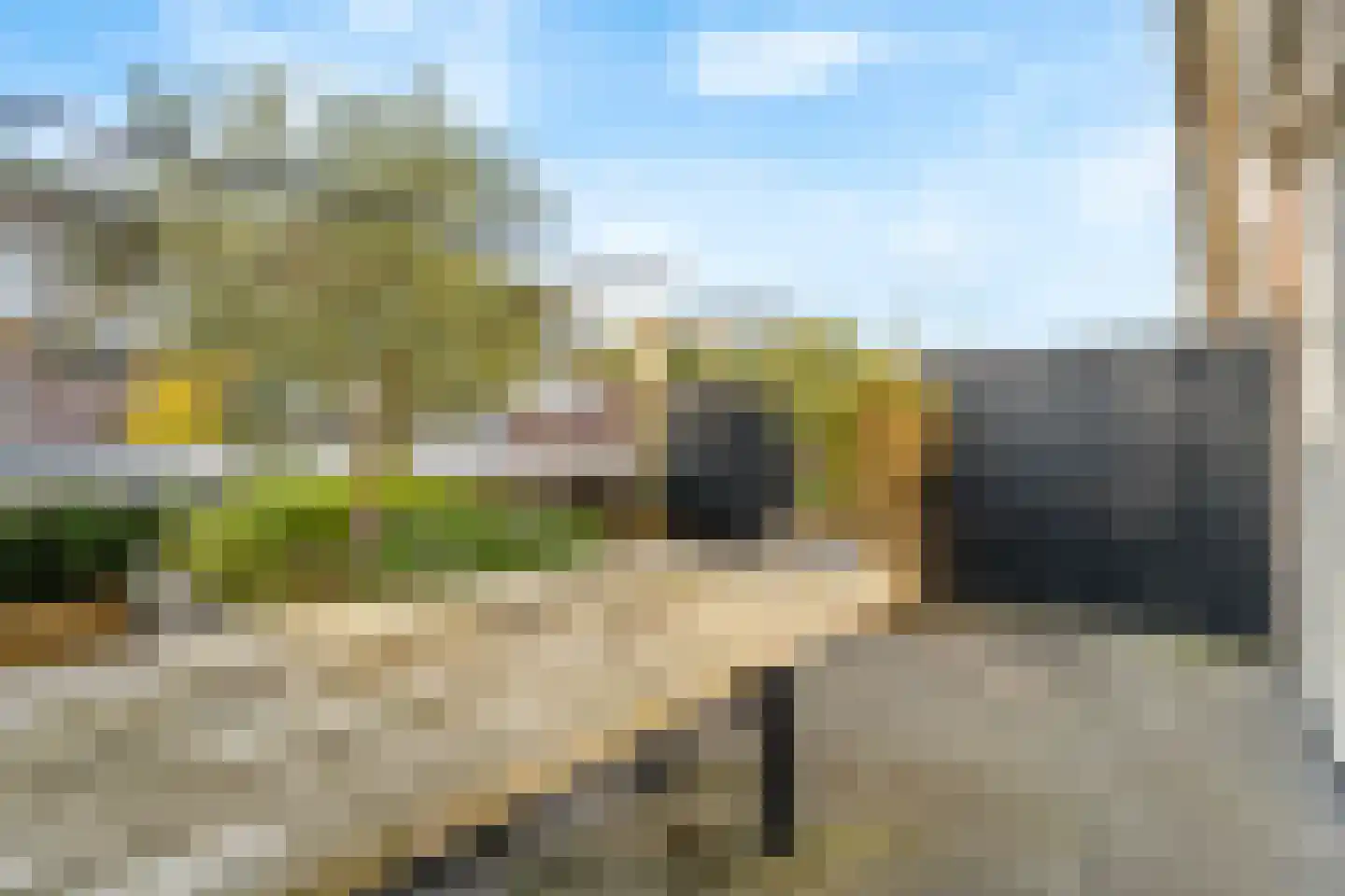 Euterpeplein 43 B Amersfoort thumbnail 12
