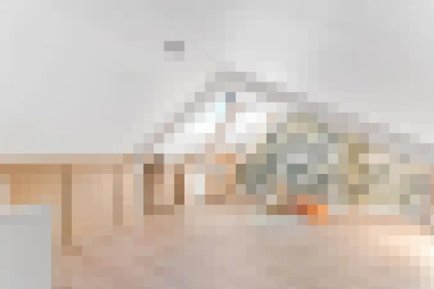 Euterpeplein 43 B Amersfoort thumbnail 28