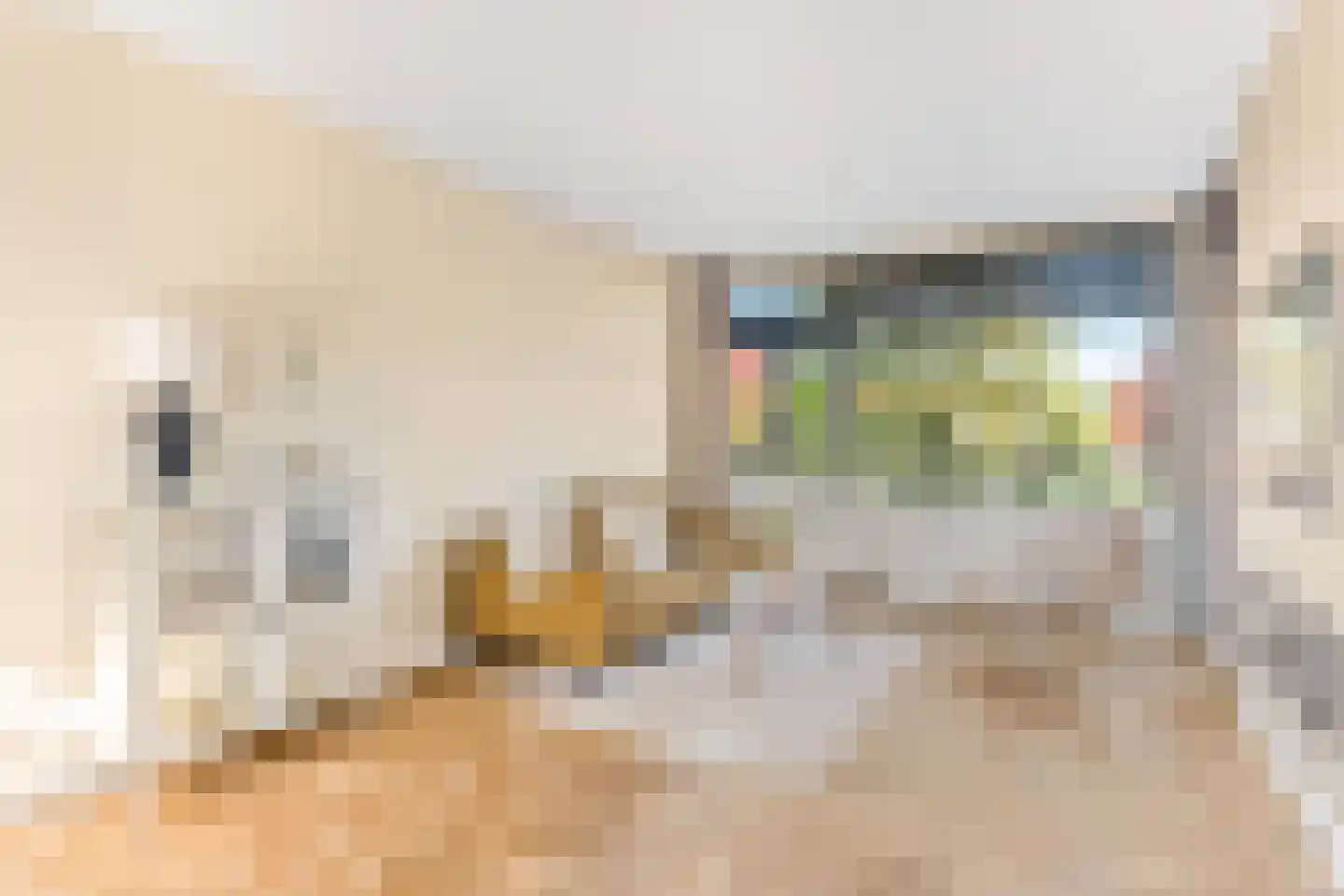 Euterpeplein 43 B Amersfoort thumbnail 7